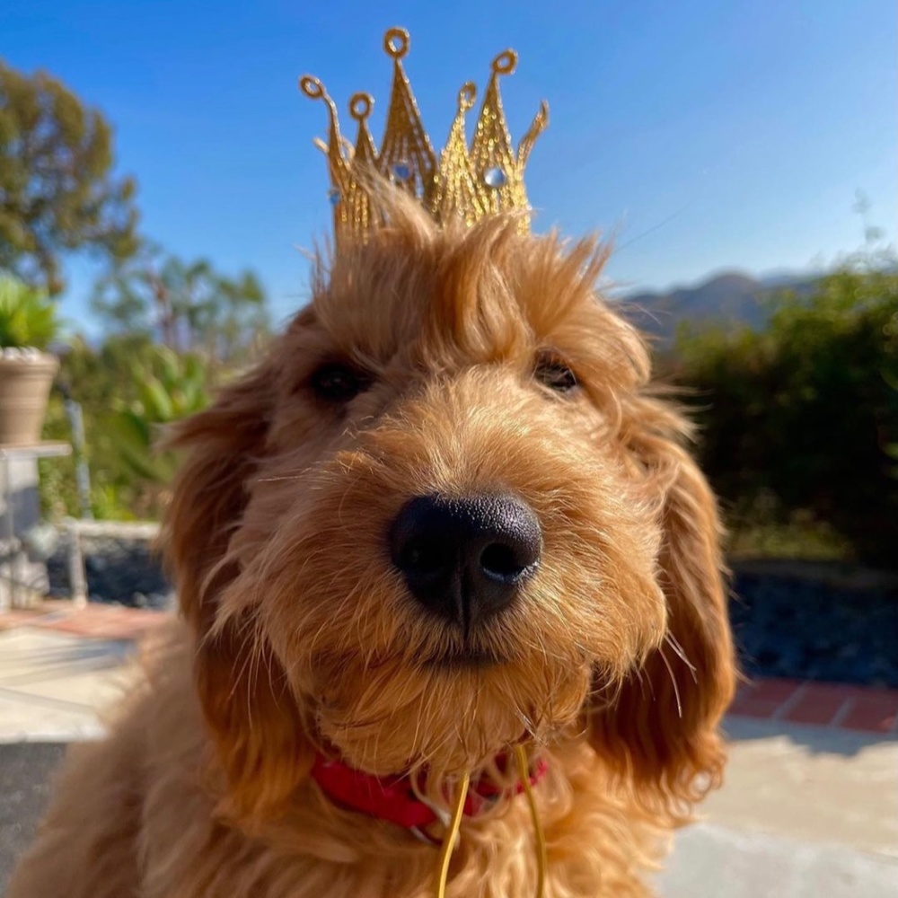 Wickedcoolstuff - Picture 3 of 9